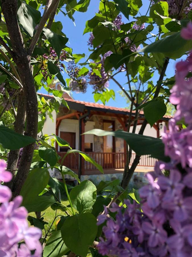 Karali Apartments Lagadin Eksteriør billede